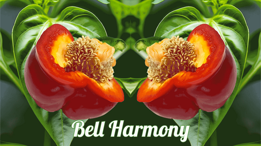 Bell Harmony – A Bright Boost for Immune & Vision Health 🌶️